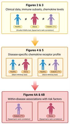 Distinct association patterns of chemokine profile and cardiometabolic status in children and adolescents with type 1 diabetes and obesity
